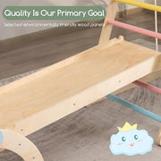 RAINBOWRISE 9-IN-1 PLAY GYM